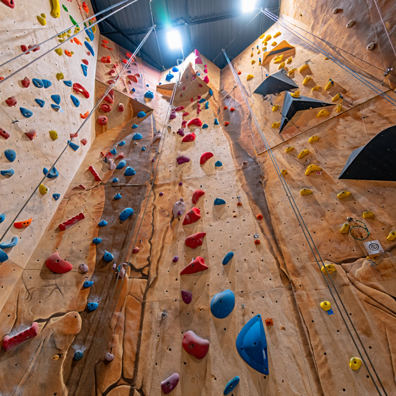 Kids Outdoor Climbing Equipment - MIZONE Multifunctional Climbing Wall Available Indoor