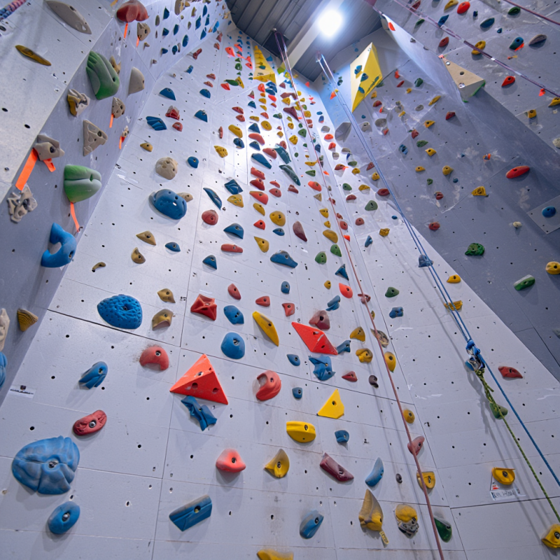 MIZONE Multifunctional Climbin - Kids Outdoor Climbing Equipment recension och pris